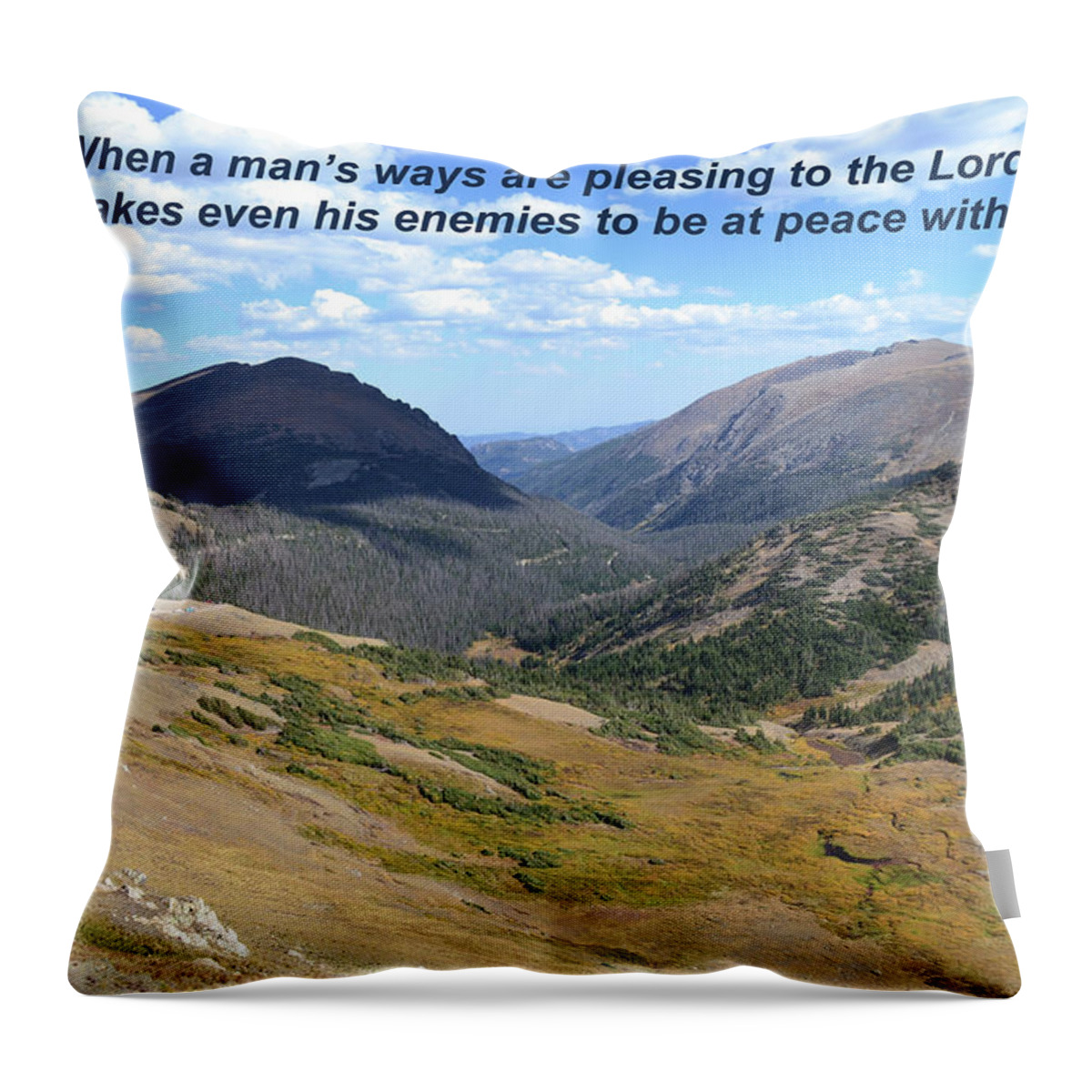  Throw Pillow featuring the mixed media Proverbs 16 7 by Lori Tondini