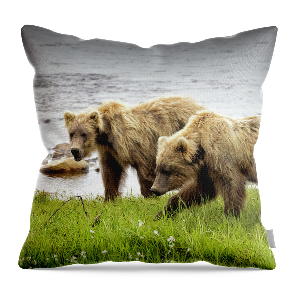 Alaska Throw Pillow featuring the photograph Prowling Along the Creek by Cheryl Strahl