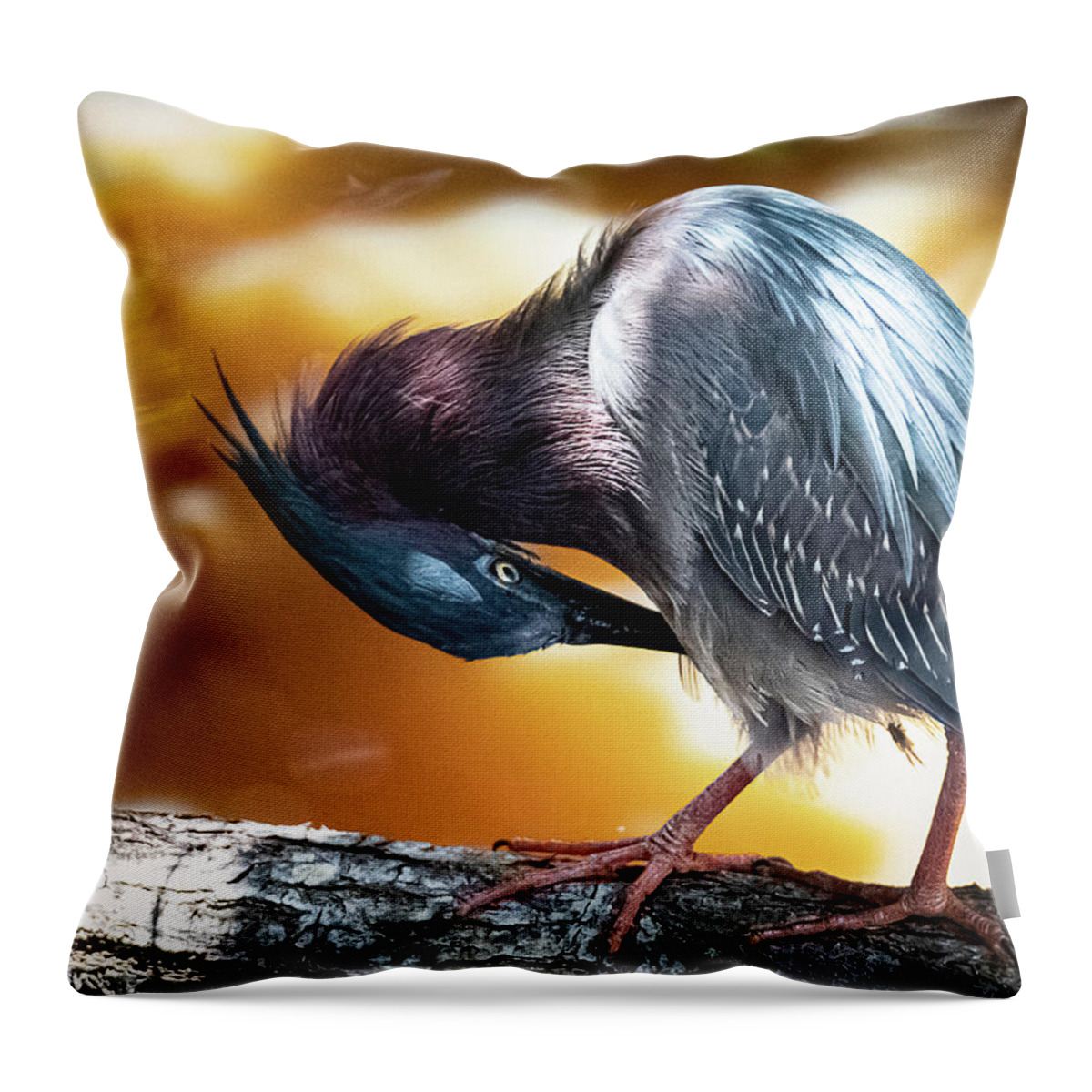 Green Heron Throw Pillow featuring the photograph Pruning by Kevin Senter