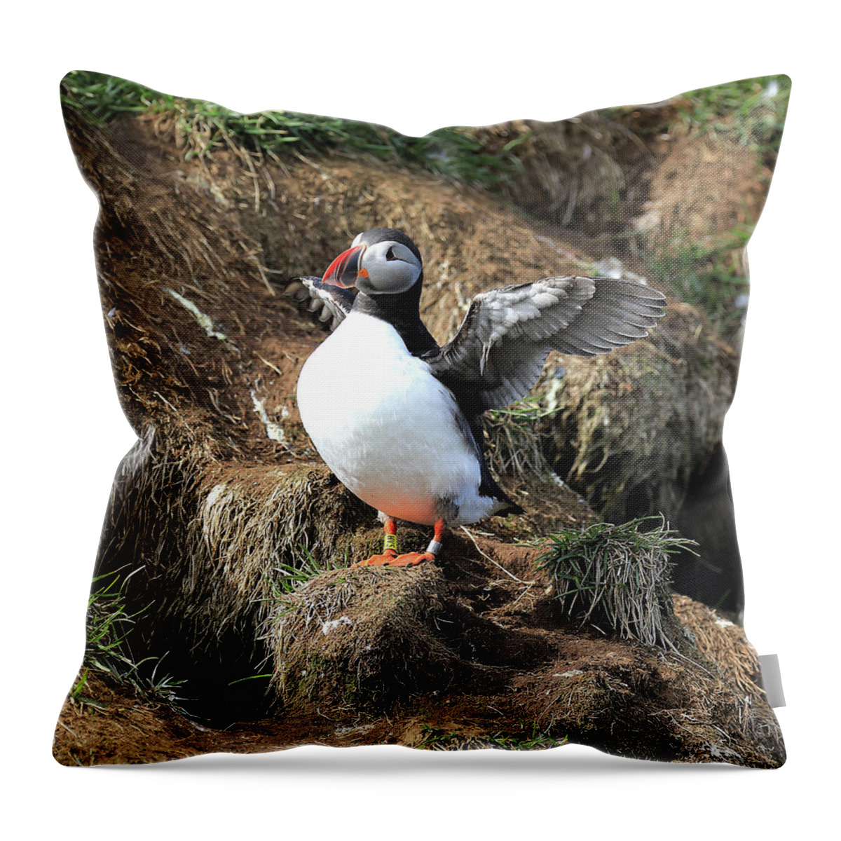 Puffin Throw Pillow featuring the photograph Puffin 2 - Northeast Iceland by Richard Krebs