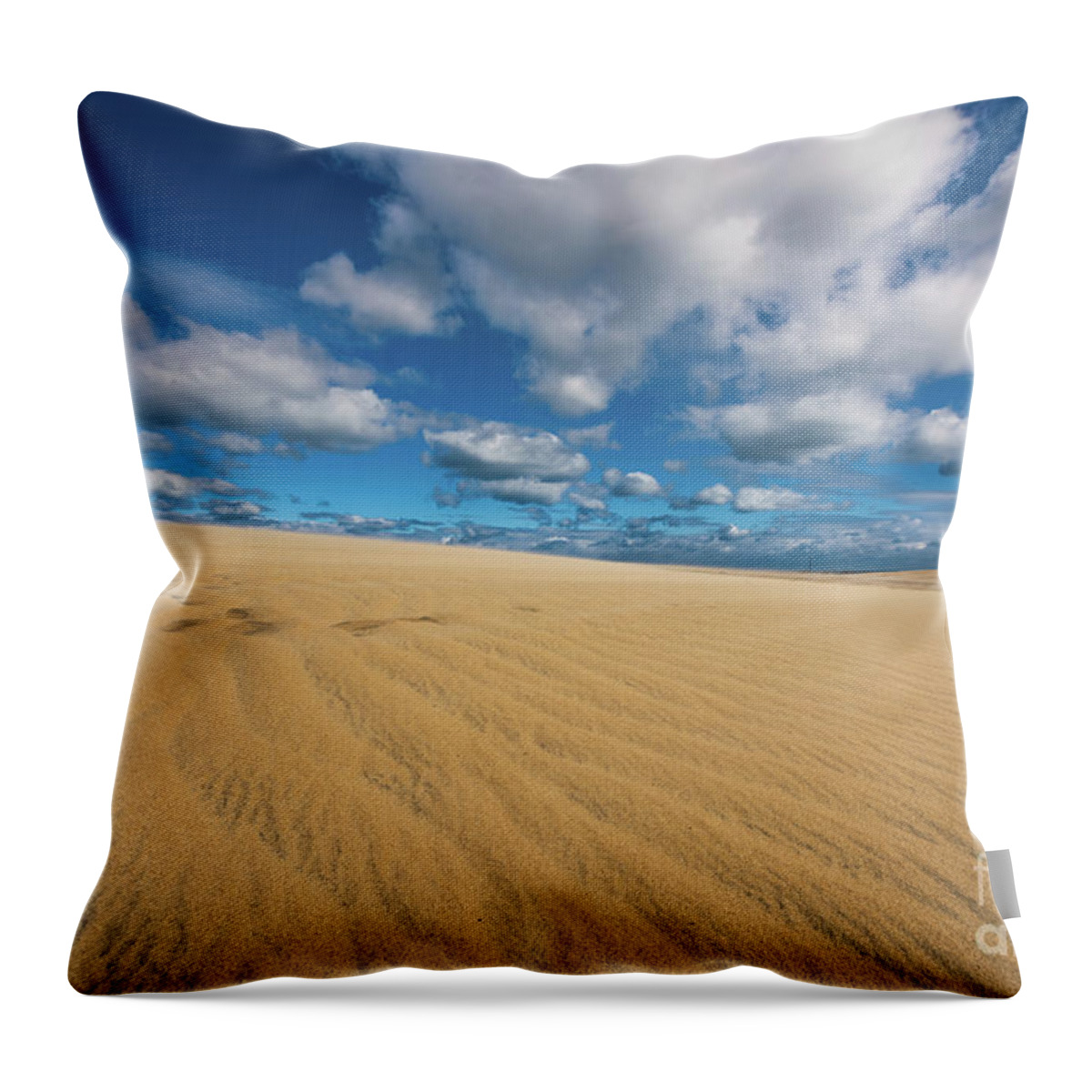 Sand Throw Pillow featuring the photograph Purely Simple by Anthony Heflin