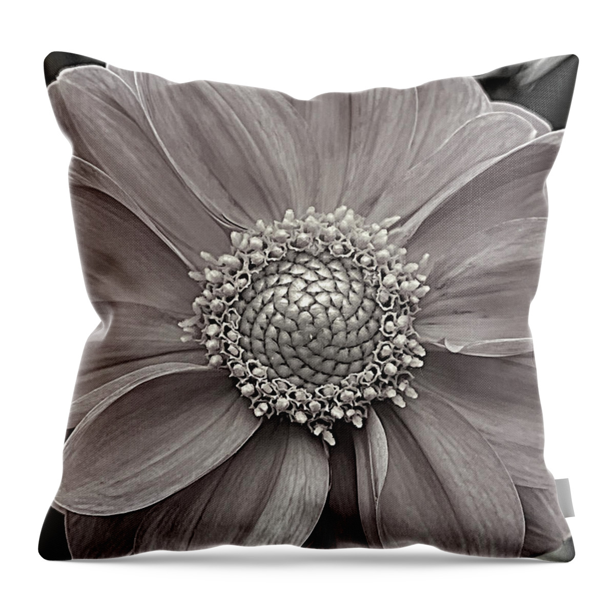 Flower Throw Pillow featuring the photograph Purity BW by Lee Darnell