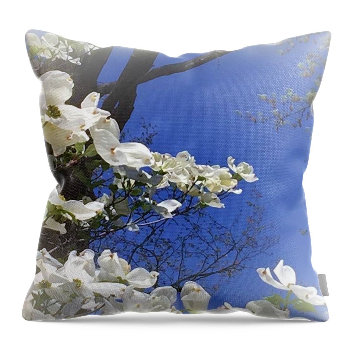 Dogwood Throw Pillow featuring the photograph Purity of Dogwood by Angela Davies