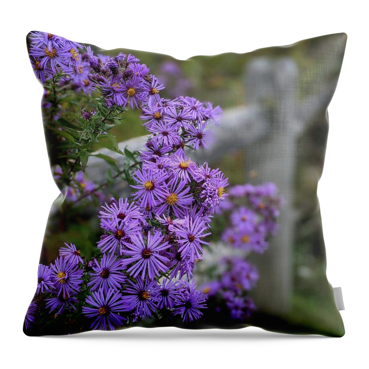  Throw Pillow featuring the photograph Purple Beauty at the Park by Brad Nellis