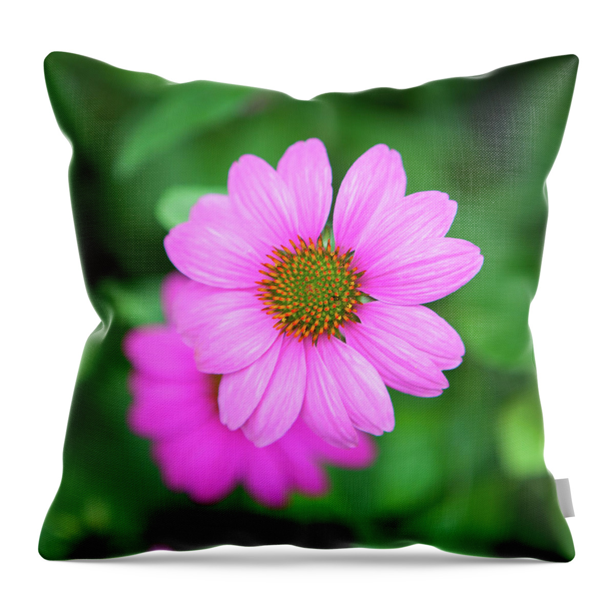 Flowers Throw Pillow featuring the photograph Purple Cone Flower_6125 by Rocco Leone