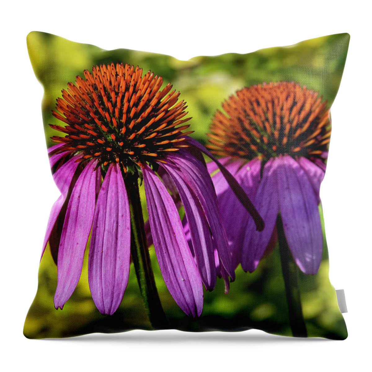 Purple Throw Pillow featuring the photograph Purple Coneflower Afternoon Sun by Fon Denton