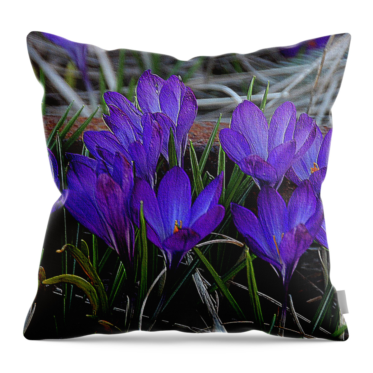 Digital Throw Pillow featuring the painting Purple Crocus by Elaine Manley