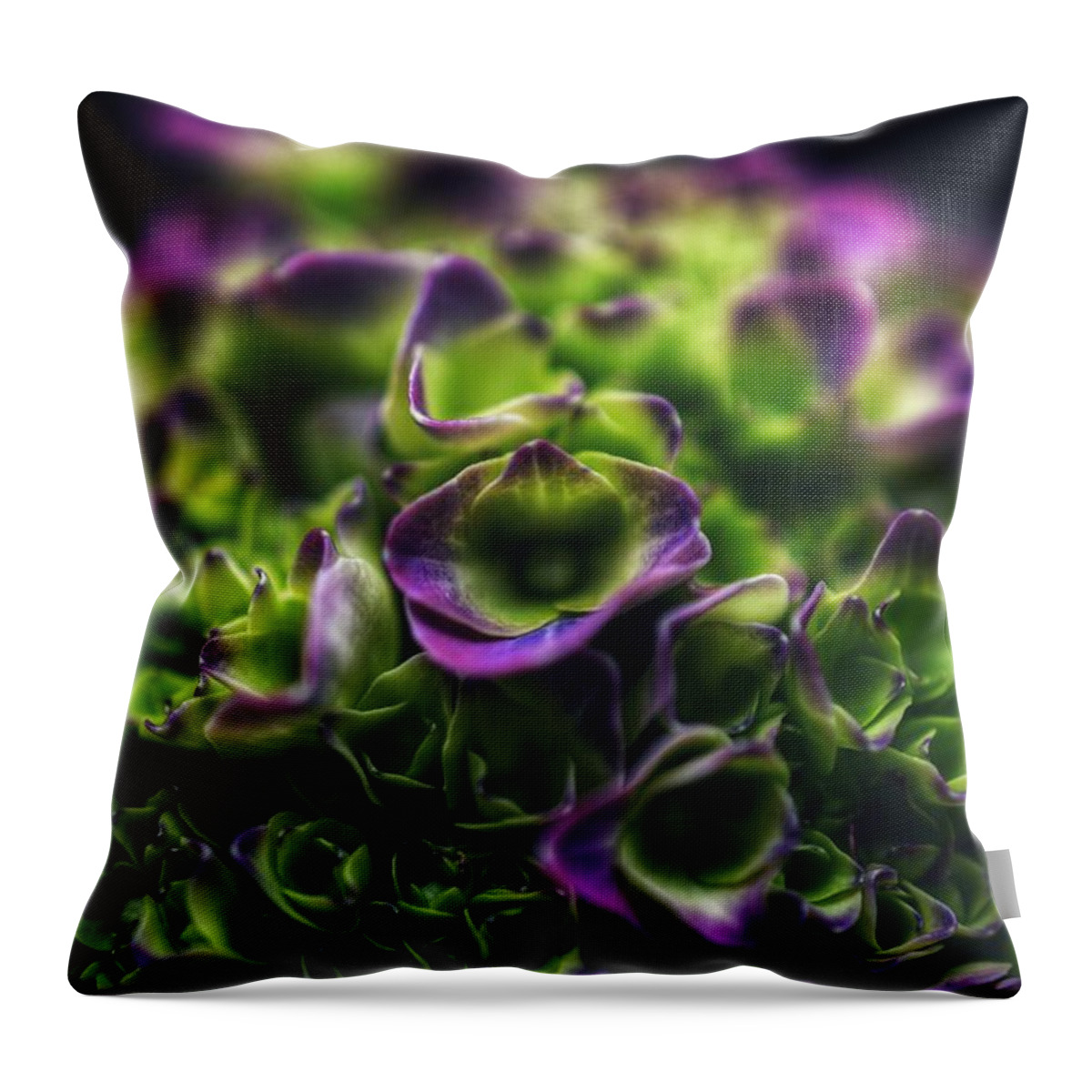 Photo Throw Pillow featuring the photograph Purple Crown Close up by Evan Foster