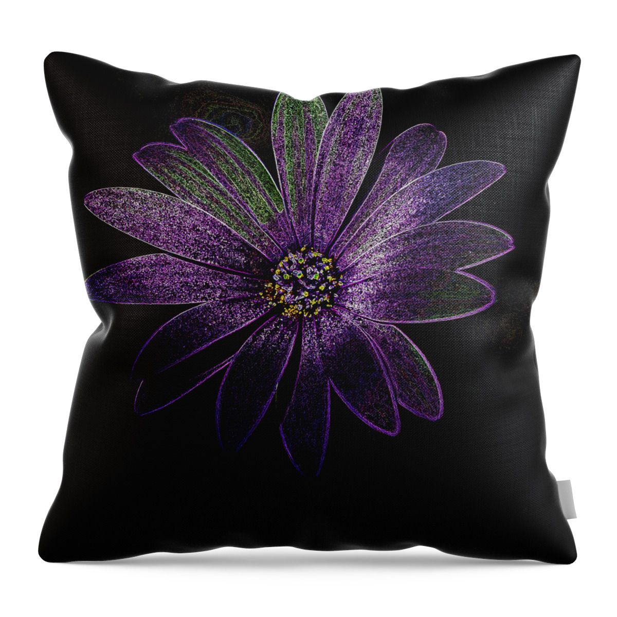 Purple Daisy Throw Pillow featuring the photograph Purple daisy #2 by Al Fio Bonina
