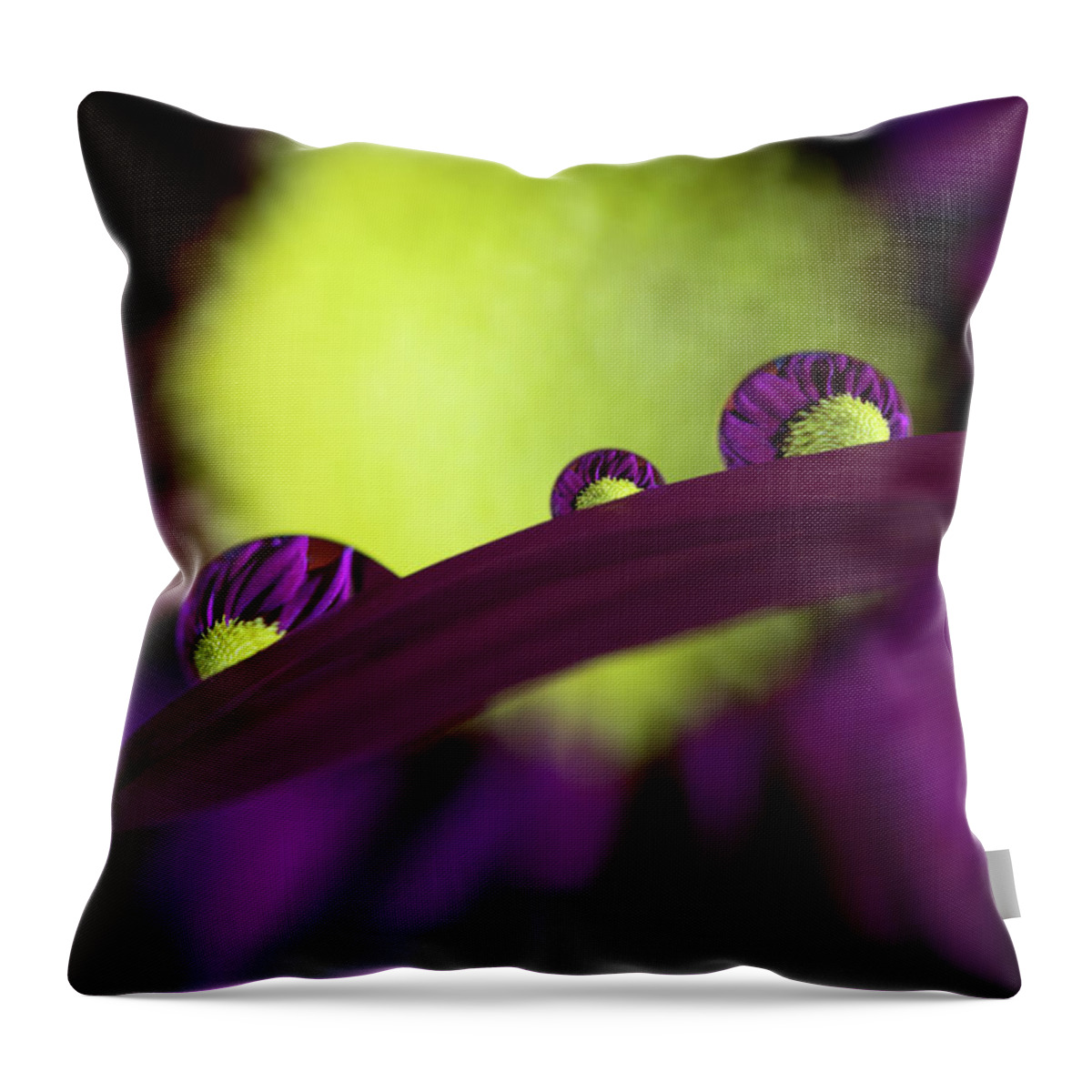 Daisy Throw Pillow featuring the photograph Purple Daisy in Water Droplets by Kevin Schwalbe
