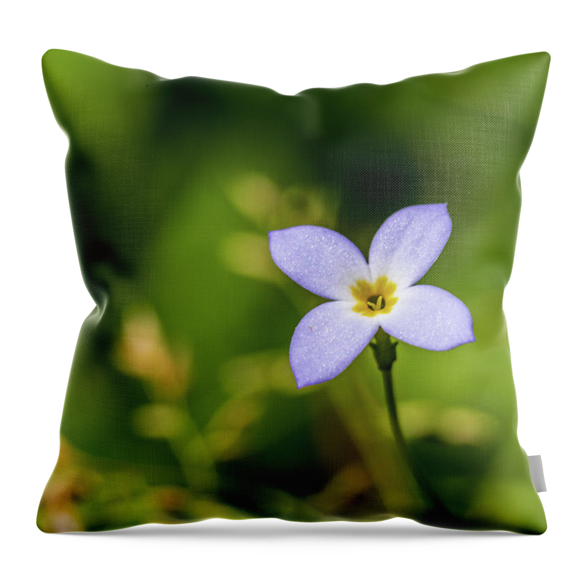 Flower Throw Pillow featuring the photograph Purple Flower by Amelia Pearn