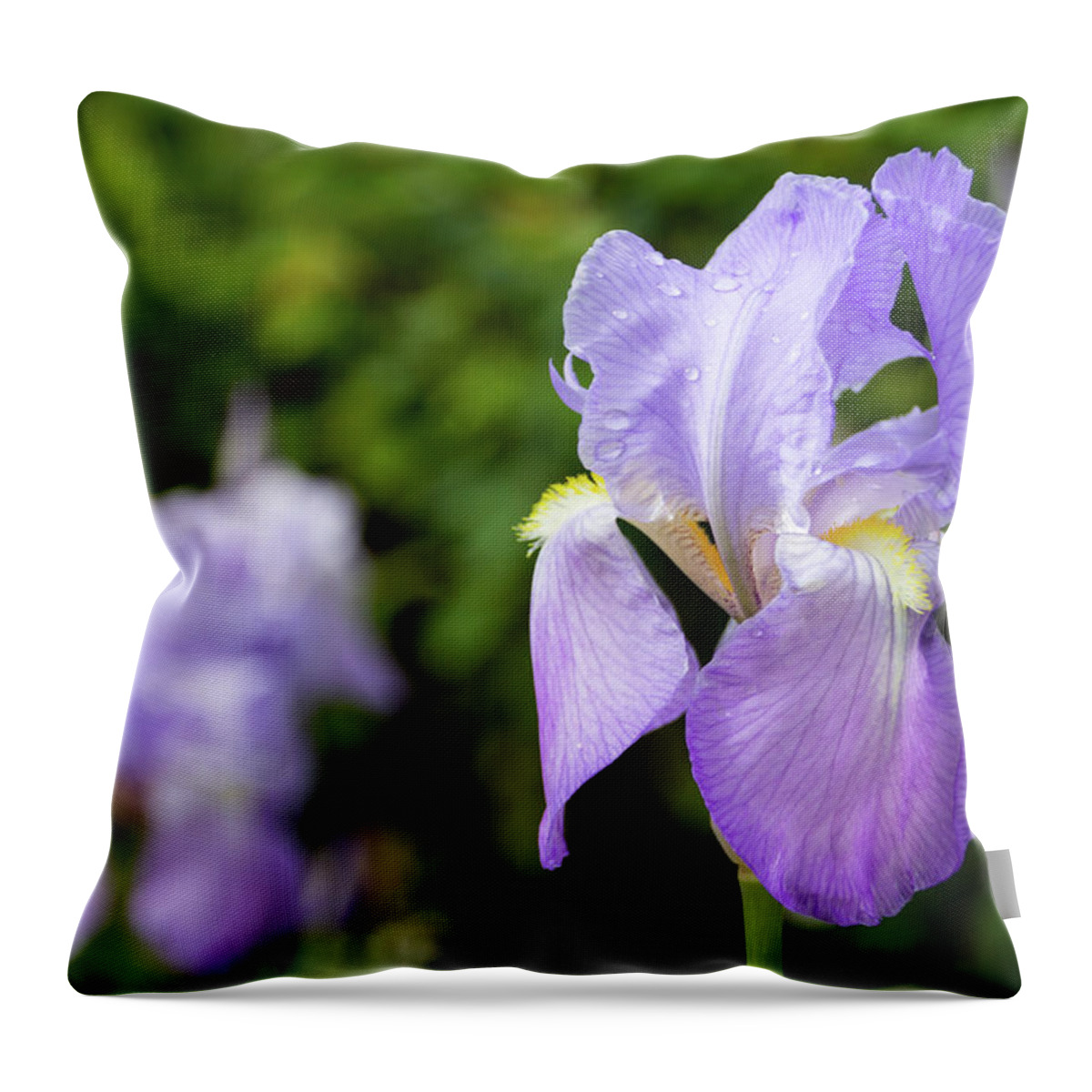 Iris Throw Pillow featuring the photograph Purple iris by Fabiano Di Paolo