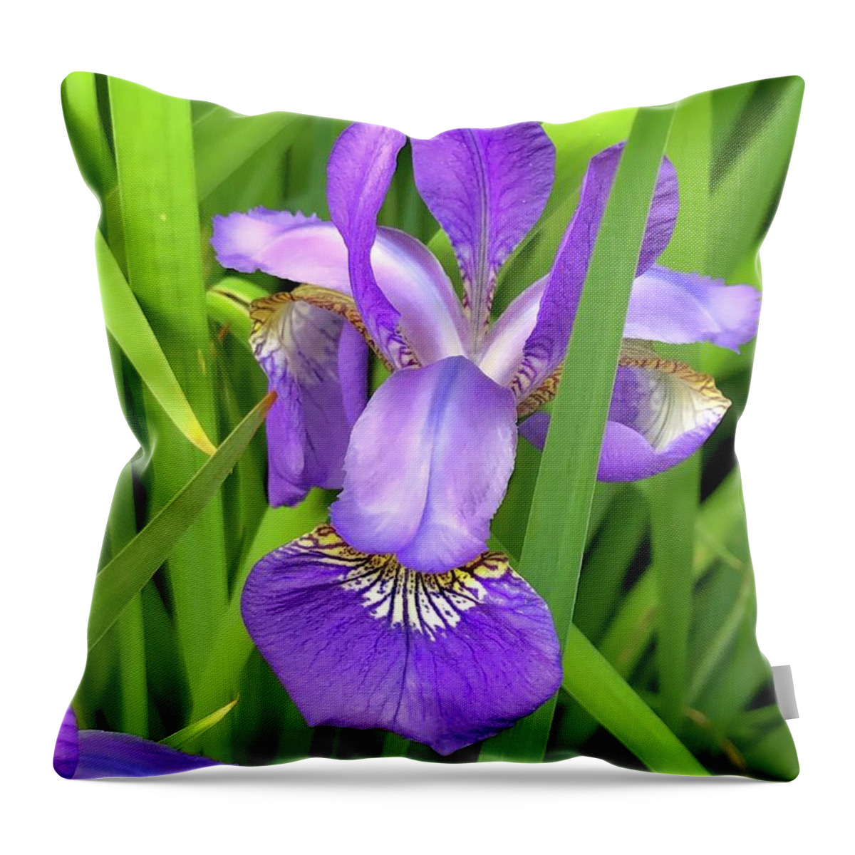 Flower Throw Pillow featuring the photograph Purple Iris in the Green Grass by Lisa Pearlman