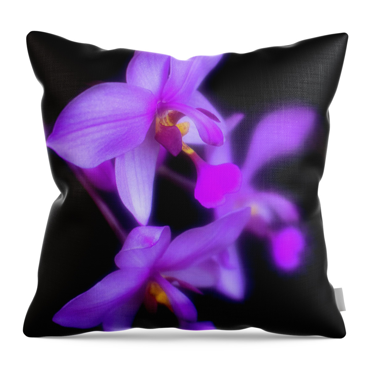 Purple Throw Pillow featuring the photograph Purple Orchids on Black by Teresa Wilson