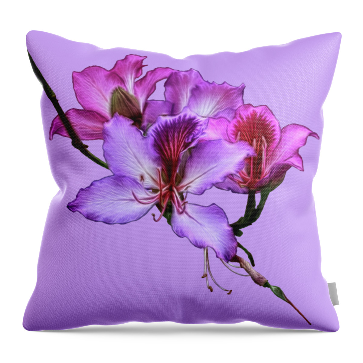 Orchid Throw Pillow featuring the photograph Purple Orchids by Shane Bechler