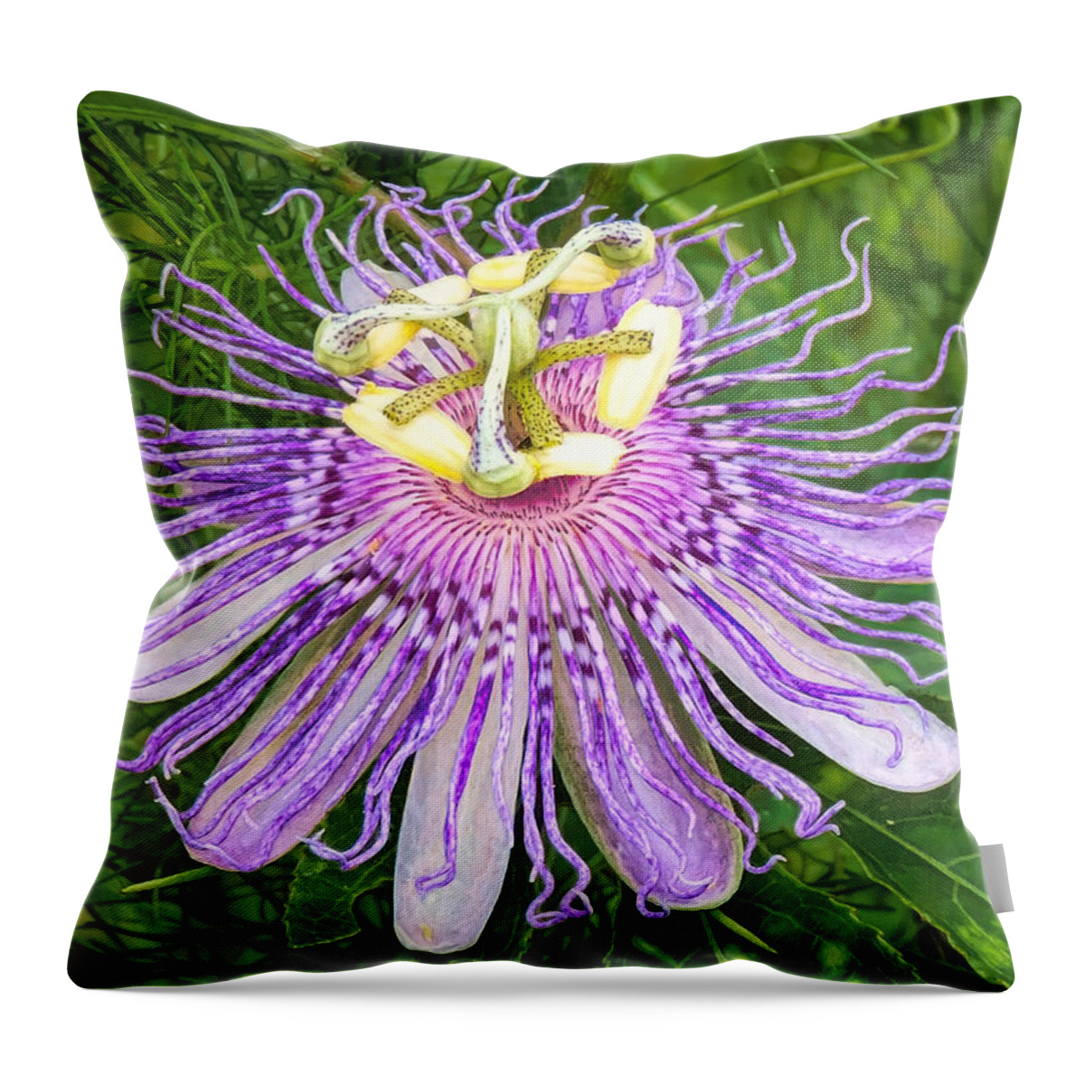 Purple Passion Flower Throw Pillow featuring the photograph Purple Passion Flower by Susan Hope Finley