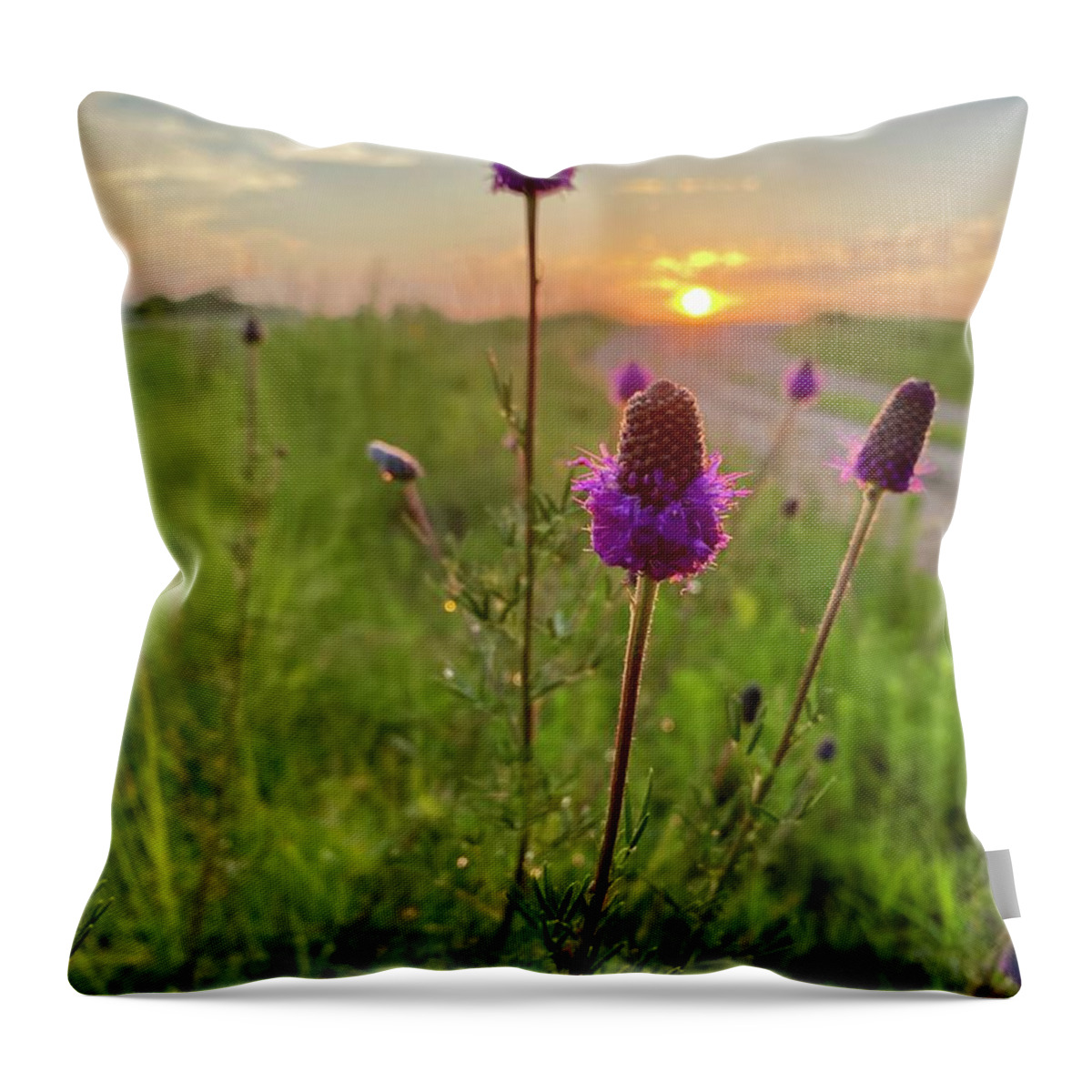 Purple Prairie Clover Throw Pillow featuring the photograph Purple Prairie Clover by Alex Blondeau