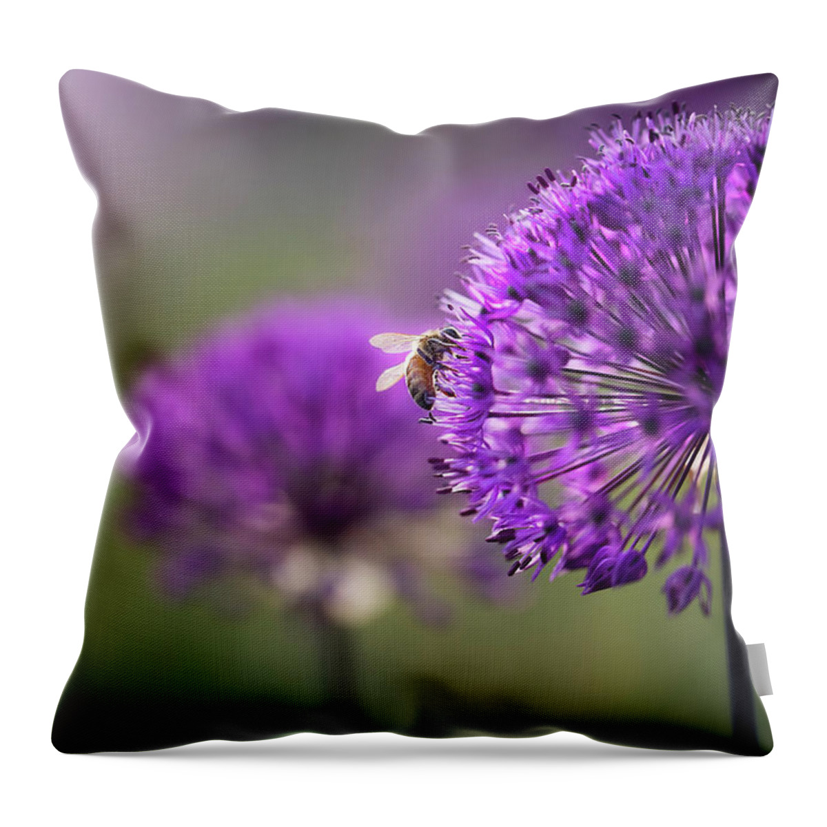  Throw Pillow featuring the photograph Purple Puff by Nicole Engstrom