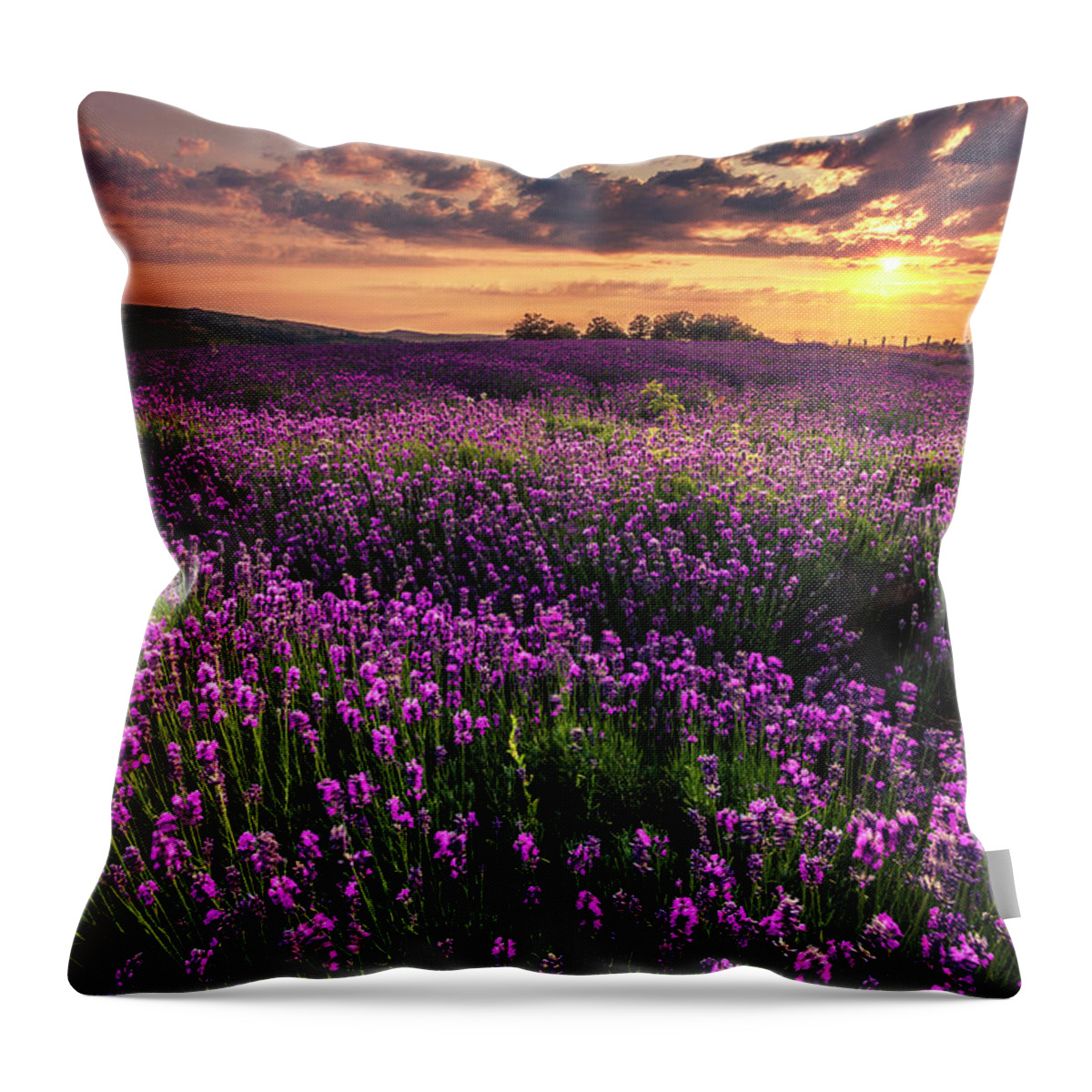 Bulgaria Throw Pillow featuring the photograph Purple Sea by Evgeni Dinev