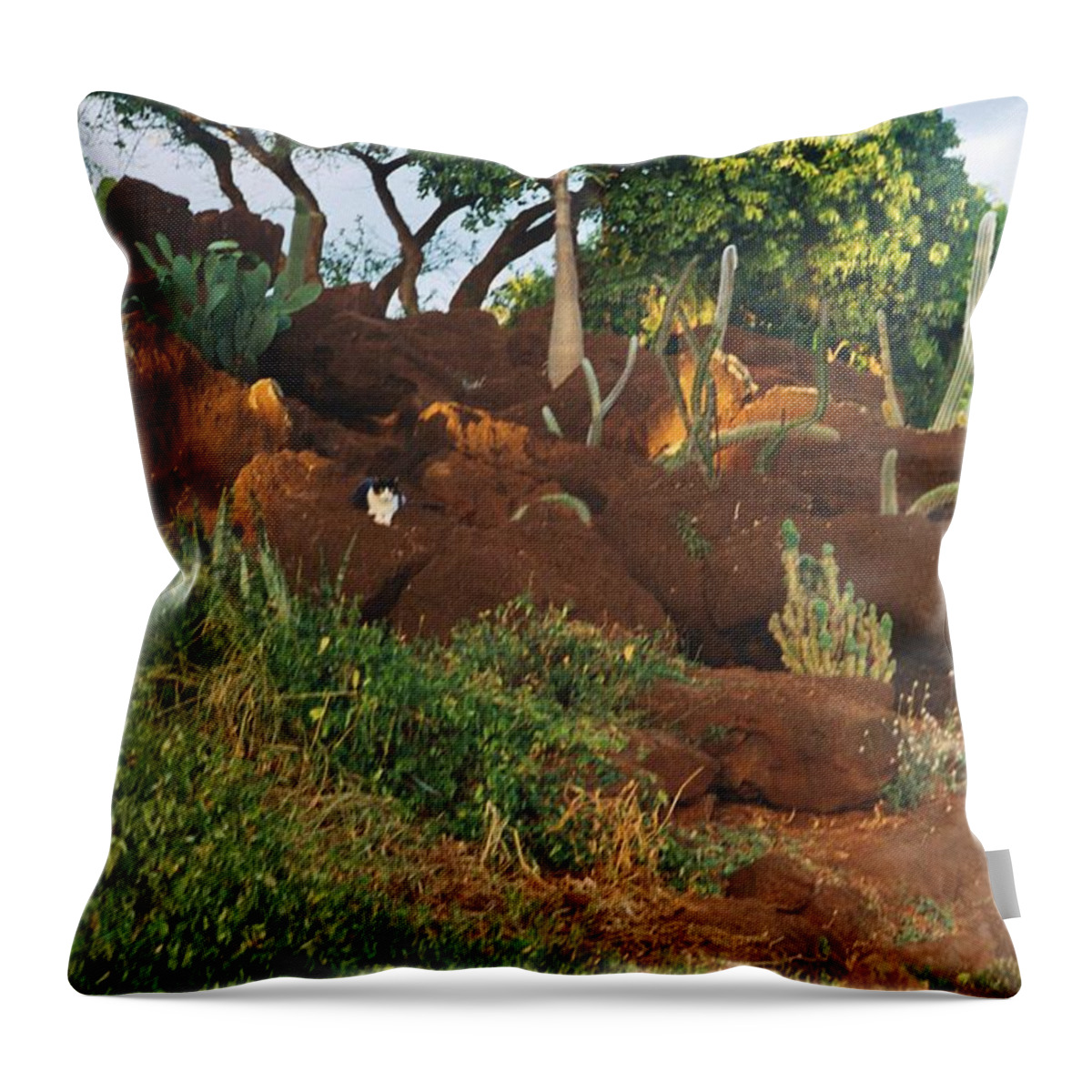 Cat Throw Pillow featuring the photograph Purrs and Spurs by Bess Carter