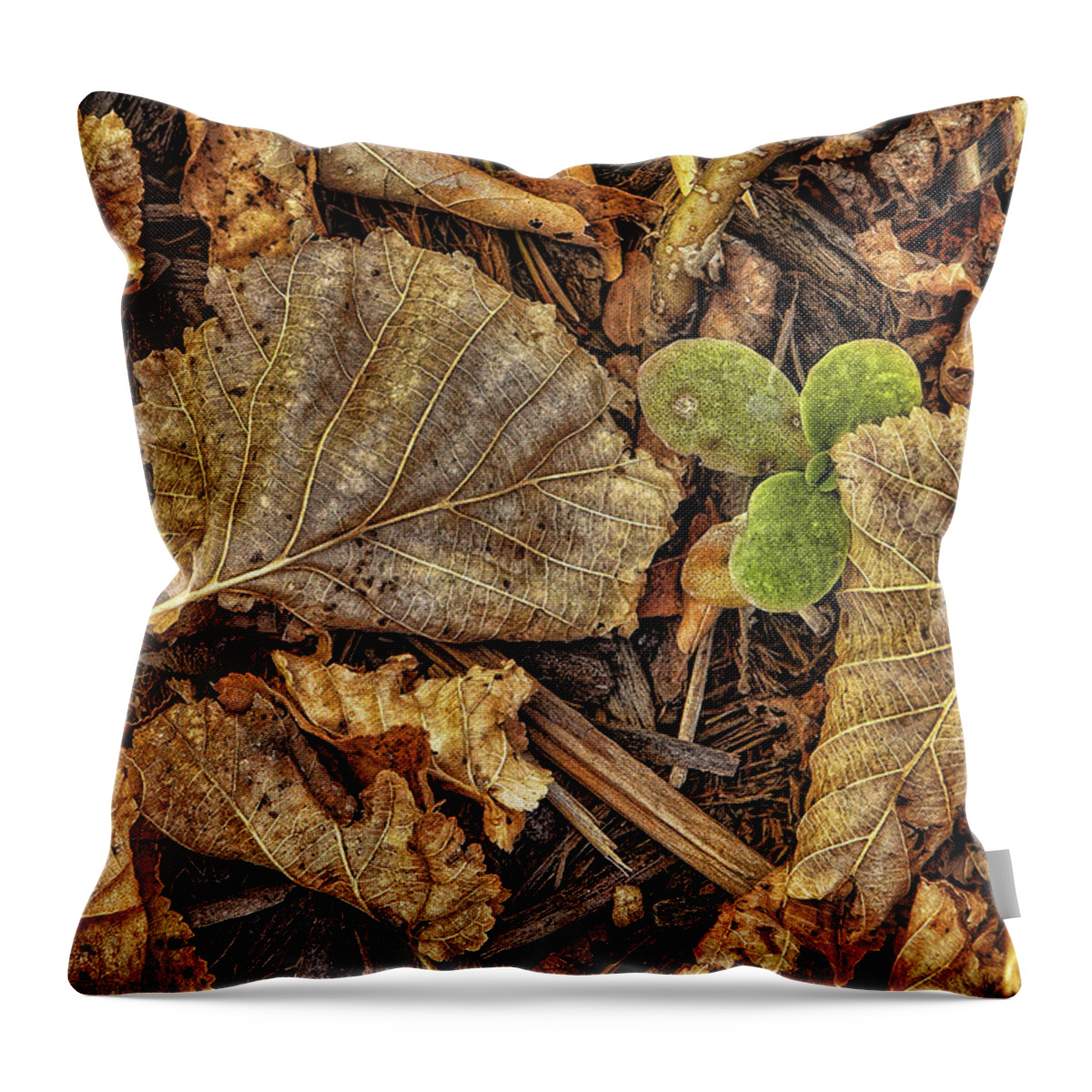 Autumn Throw Pillow featuring the photograph Quietly Fading Away by Steve Sullivan