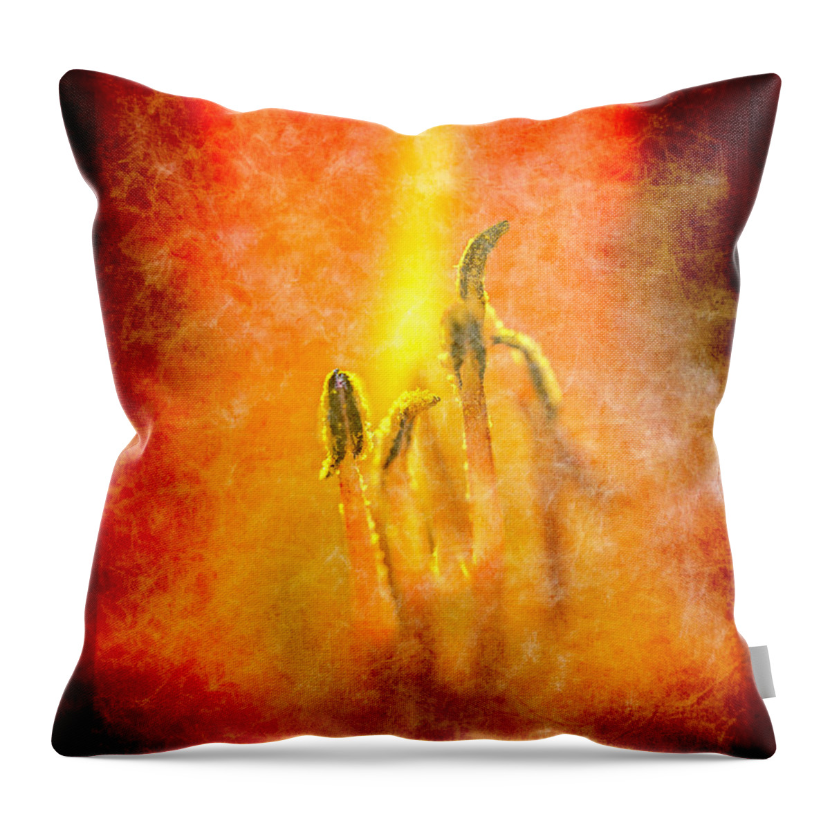 Art Throw Pillow featuring the photograph Raging Fire by Norman Reid