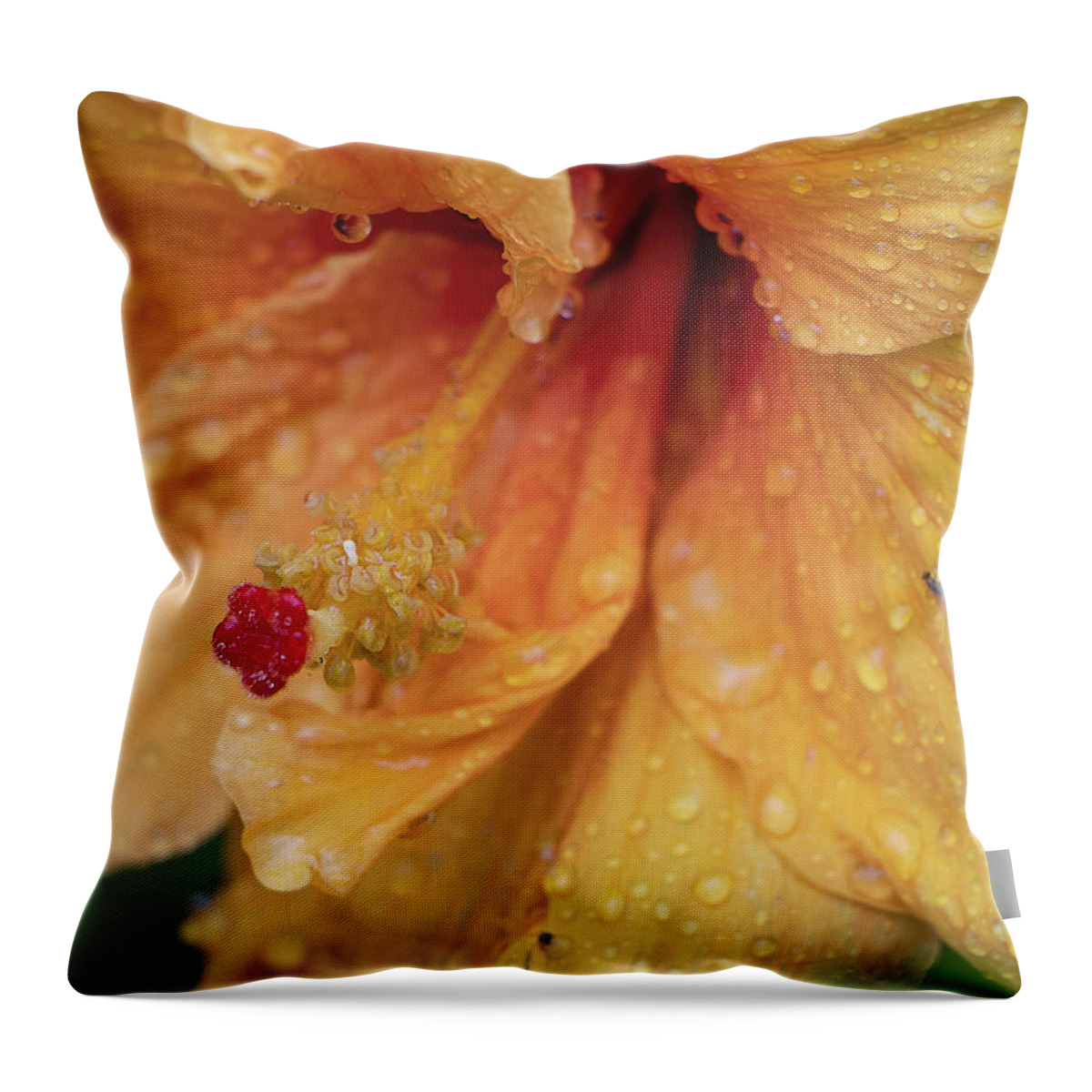 Hibiscus Throw Pillow featuring the photograph Rain Kissed by M Kathleen Warren
