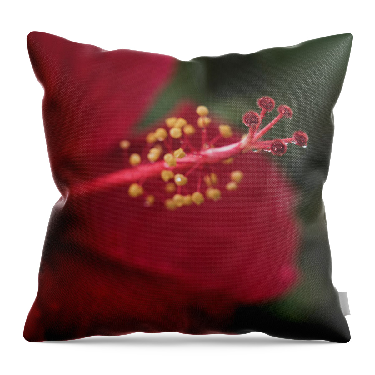 Flowers Throw Pillow featuring the photograph Rain on Red Hibiscus by Adam Johnson