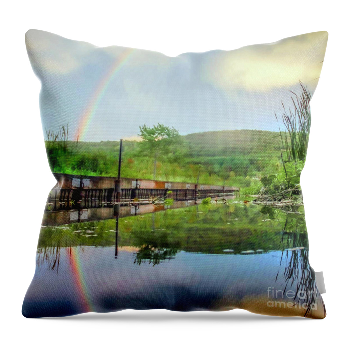 Reflection Throw Pillow featuring the photograph Rainbow Art by Doc Braham