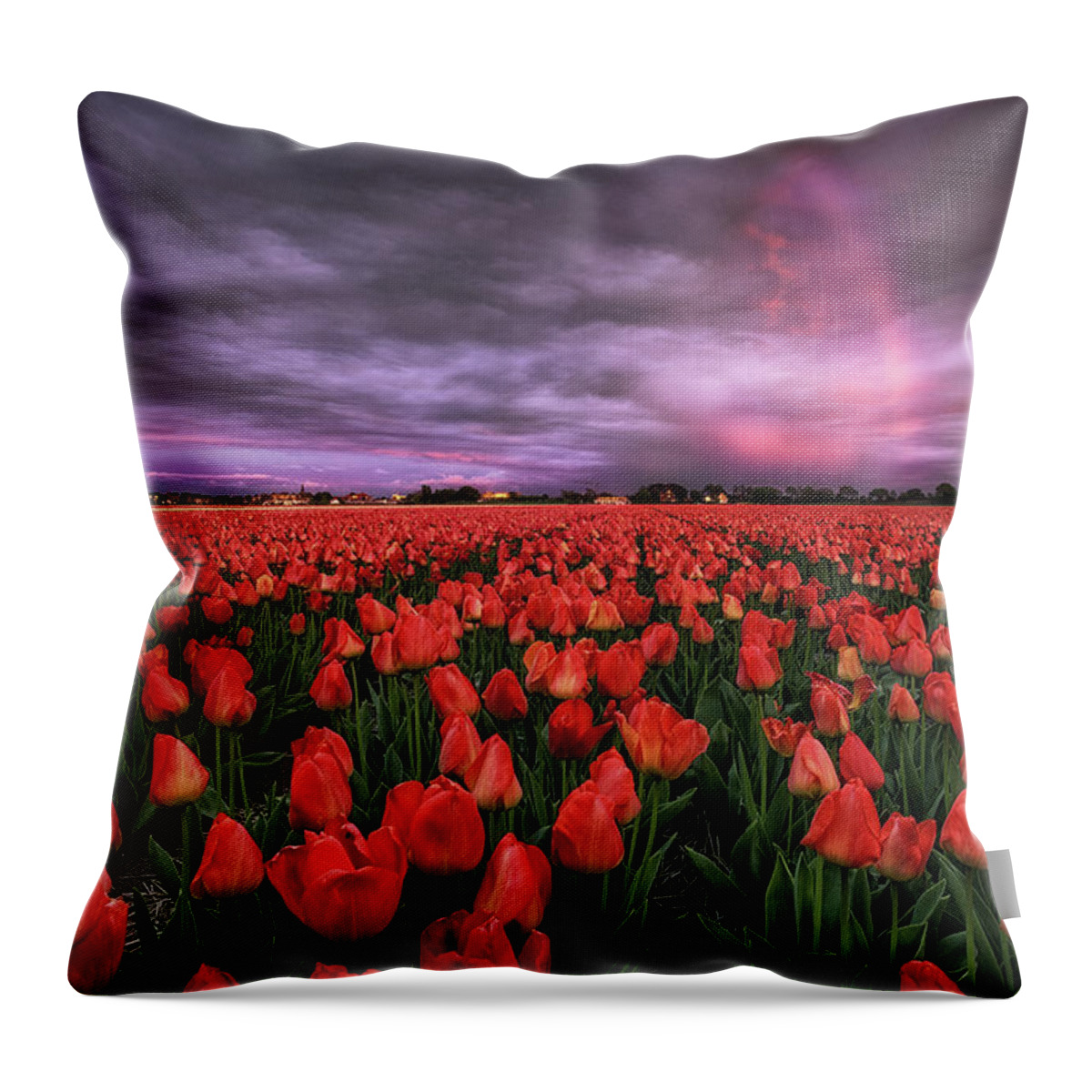 Landscape Throw Pillow featuring the photograph Rainbow by Jorge Maia