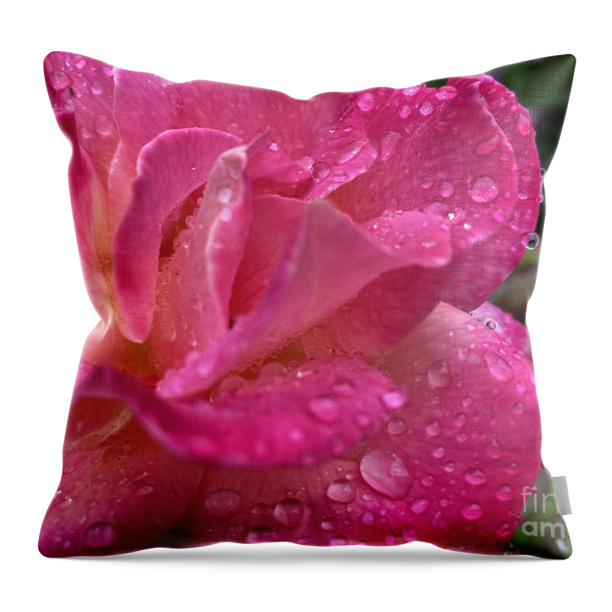 Rain Throw Pillow featuring the photograph Raindrops on Roses by Katherine Erickson