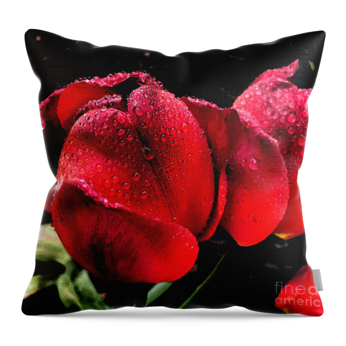 Tulips Throw Pillow featuring the photograph Raindrops on Tulips by Jeanette French