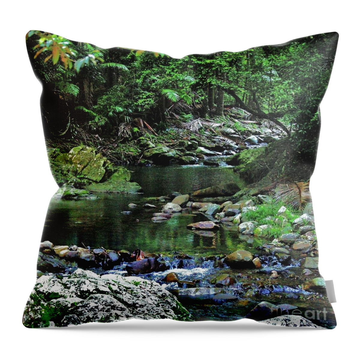 Blair Stuart Throw Pillow featuring the photograph Rainforest in Queensland by Blair Stuart