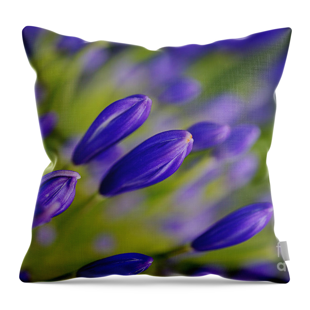 Lily Of The Nile Throw Pillow featuring the photograph Raining Agapanthus Buds by Joy Watson