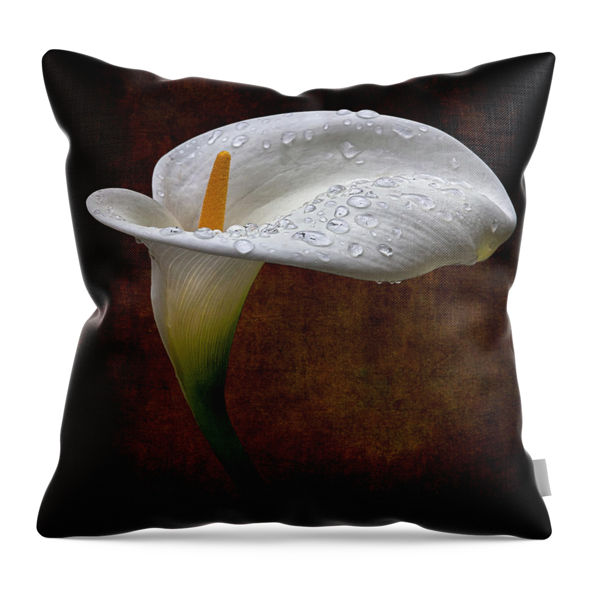 Calla Lily Throw Pillow featuring the photograph Rainwater On A Calla Lily by Endre Balogh