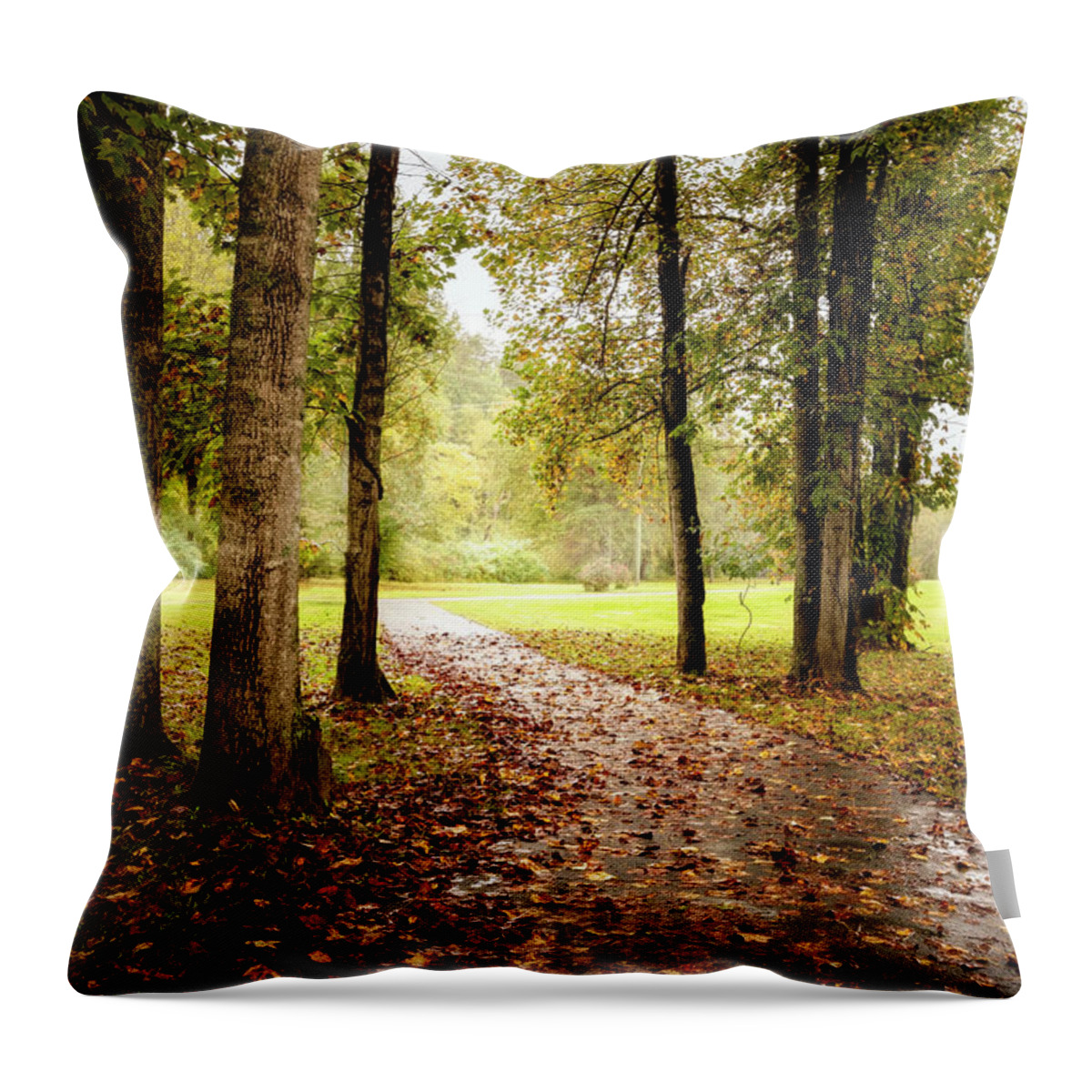 Trail Throw Pillow featuring the photograph Rainy Morning Walk by Debra and Dave Vanderlaan