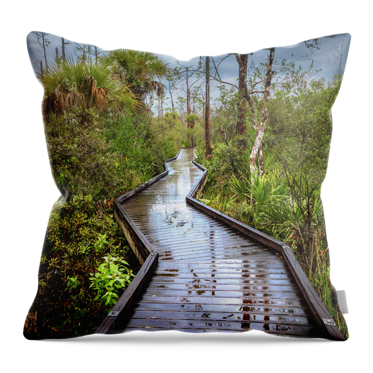 Clouds Throw Pillow featuring the photograph Rainy Reflections on the Boardwalk Trail by Debra and Dave Vanderlaan