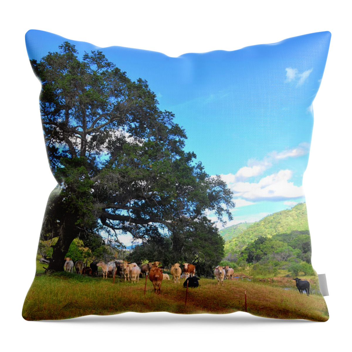 Cow Throw Pillow featuring the photograph Ranch on Suey Creek by Floyd Snyder