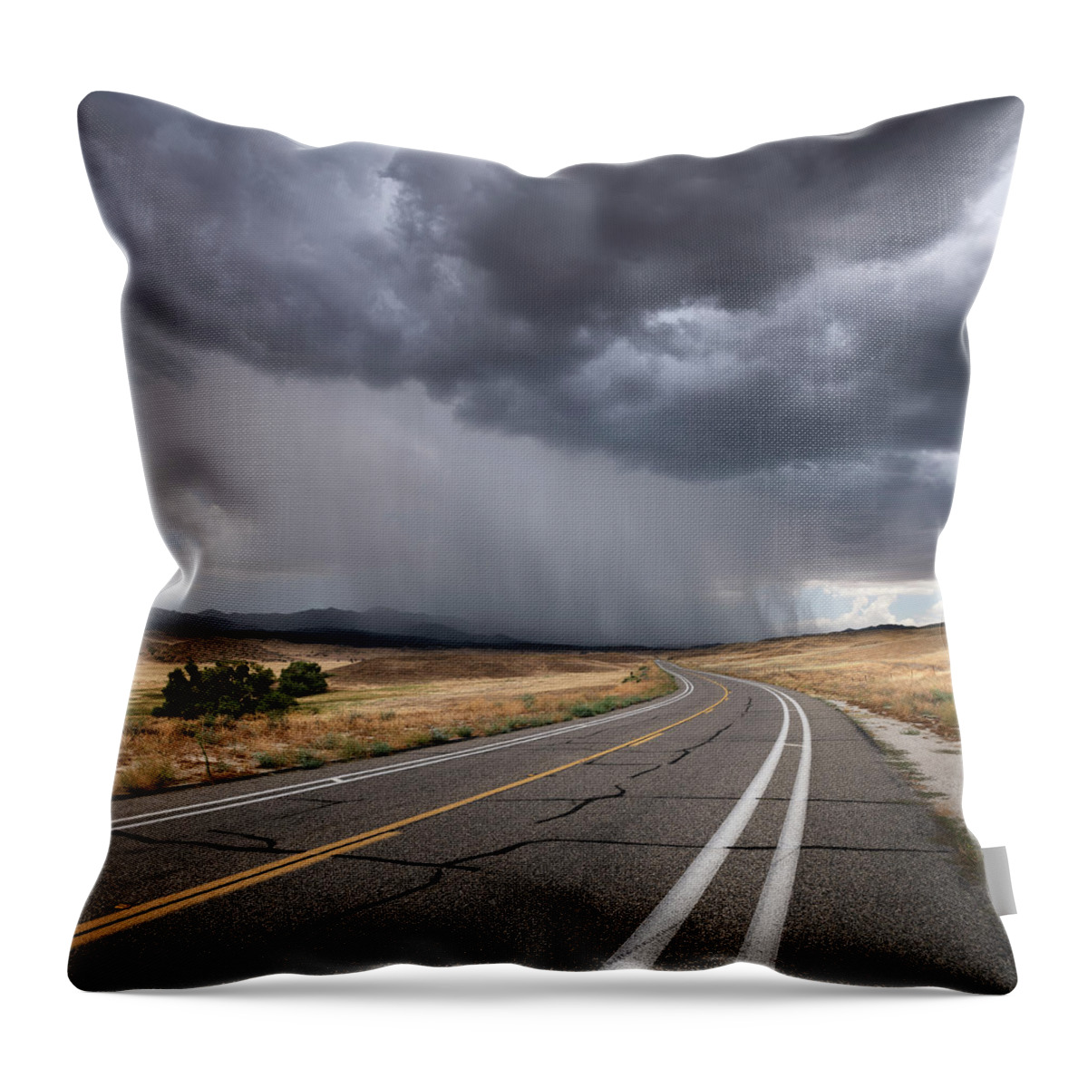 San Diego Throw Pillow featuring the photograph Ranchita Monsoon Rains by William Dunigan