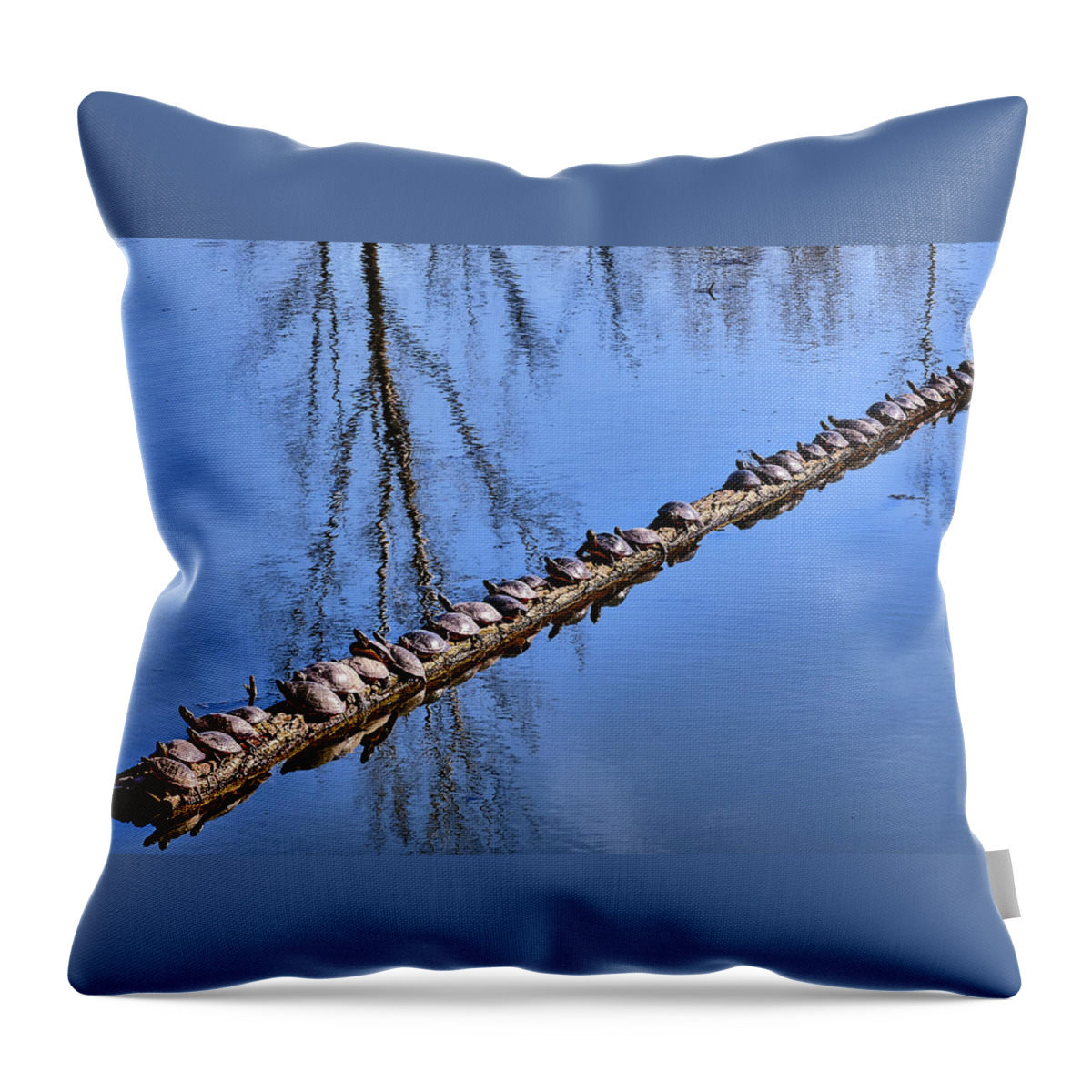 Faune Throw Pillow featuring the photograph Ranked turtles by Carl Marceau