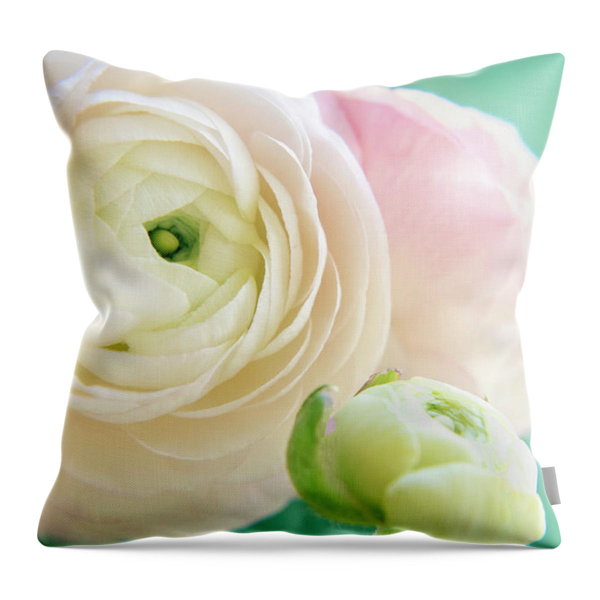 Ranunculus Throw Pillow featuring the photograph Ranunculus Dream by Lynn Bauer