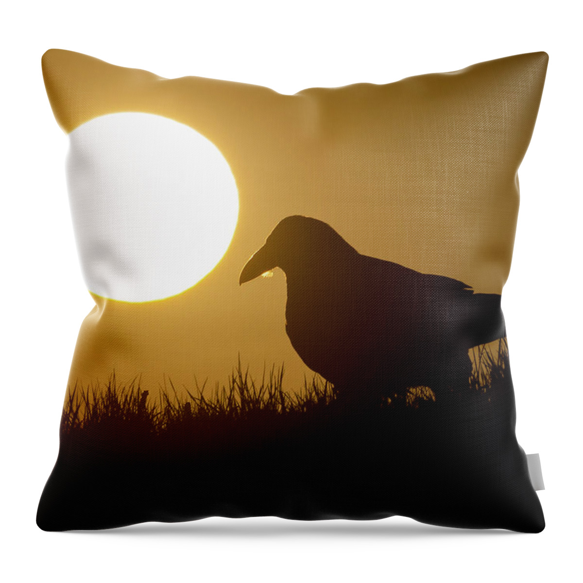 Common Raven Throw Pillow featuring the photograph Raven Sunrise by Max Waugh