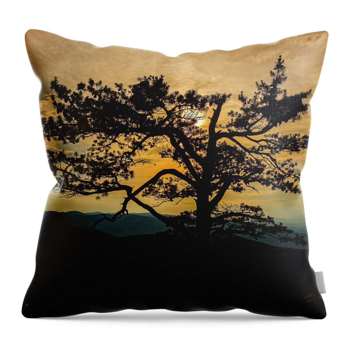 Ravens Roost Throw Pillow featuring the photograph Ravens Roost HDR by Greg Reed