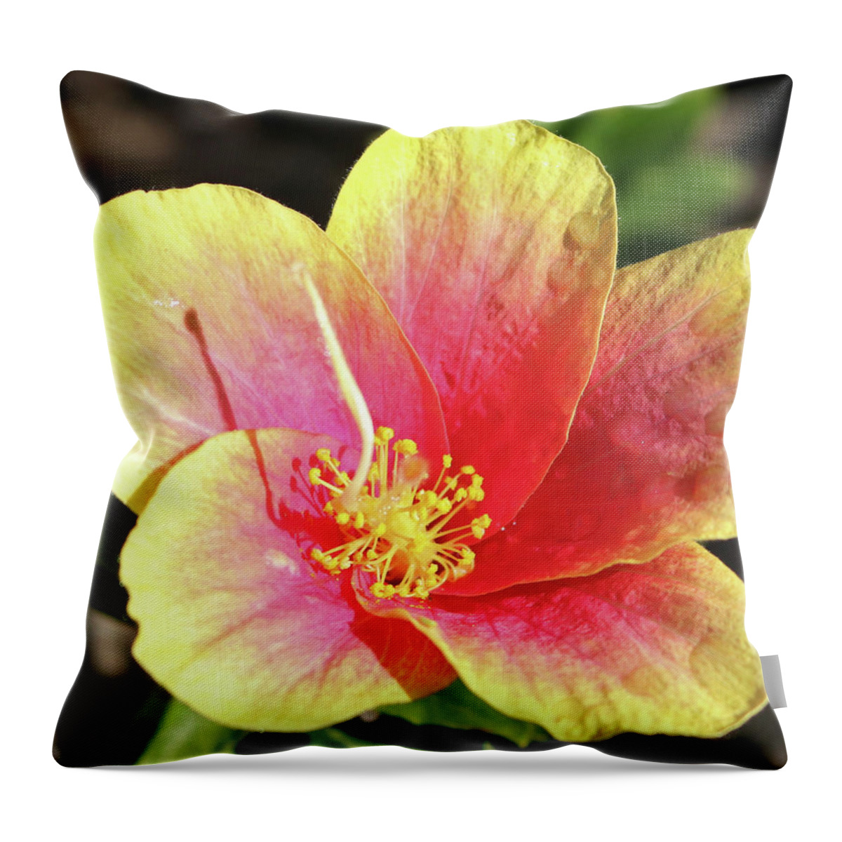 Flowers Throw Pillow featuring the pyrography Reaching for the Sun by Tony Spencer