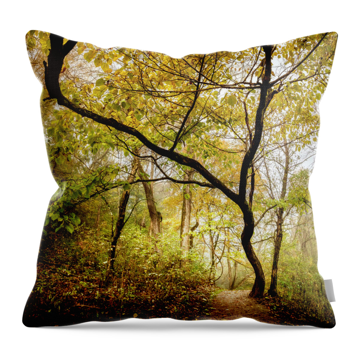 Tree Throw Pillow featuring the photograph Reaching Upwards into Autumn by Debra and Dave Vanderlaan