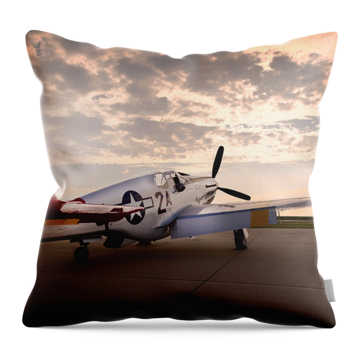 Airplane Throw Pillow featuring the photograph Ready for Flight by Carrie Hannigan