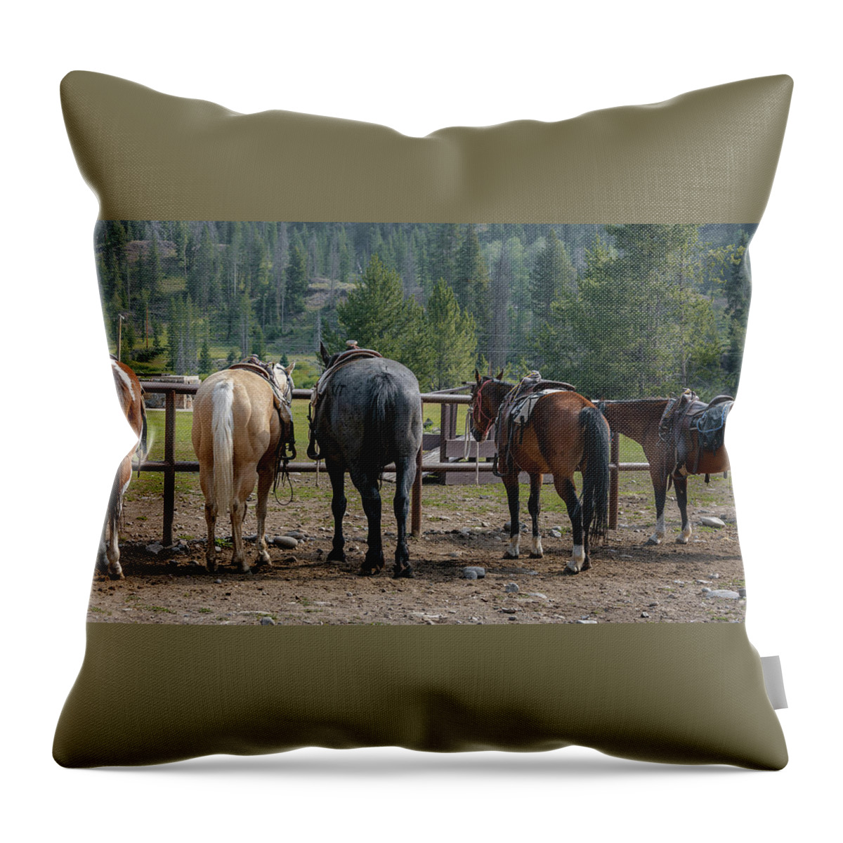 Horse Throw Pillow featuring the photograph Ready To Ride by Steve Kelley