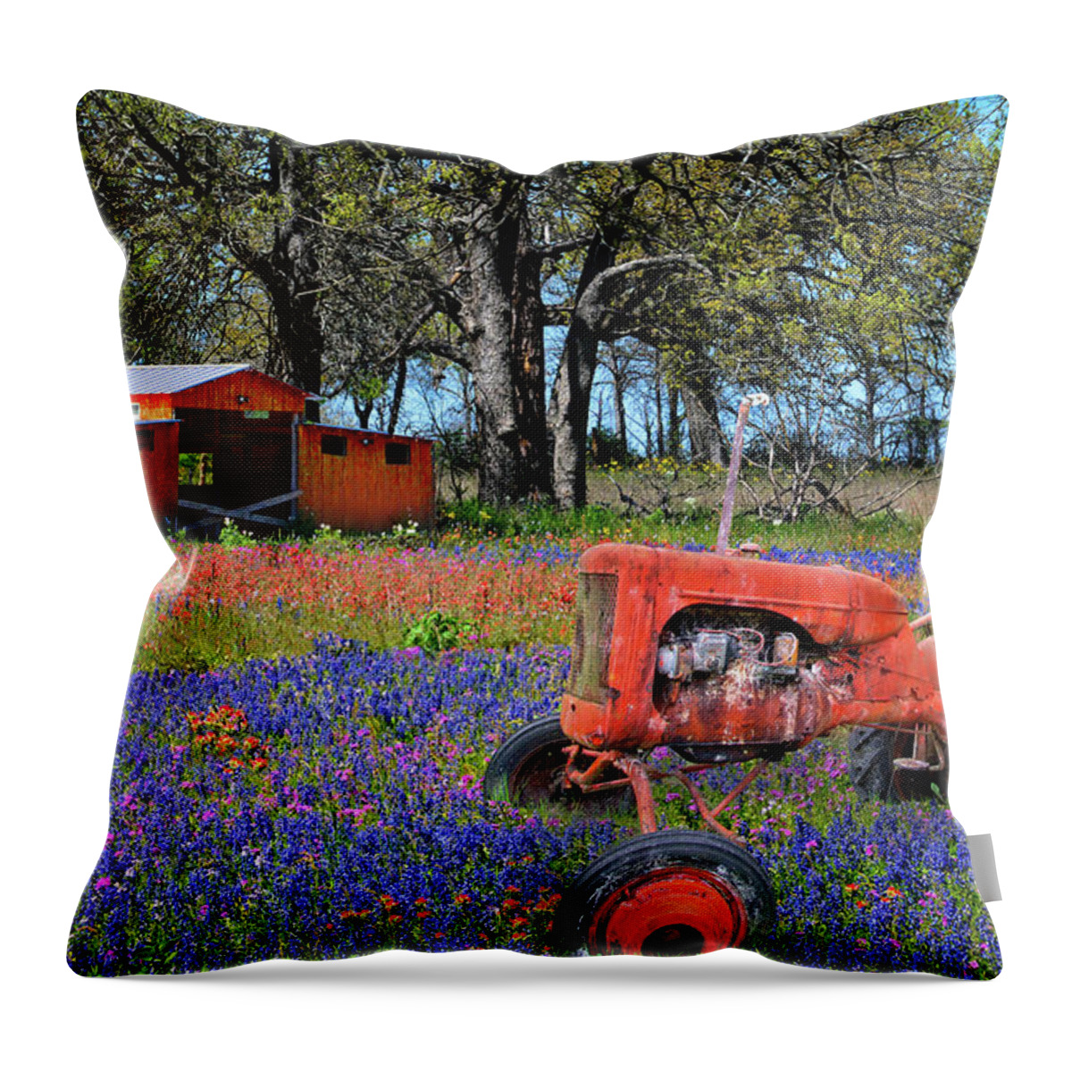 Texas Hill Country Throw Pillow featuring the photograph Red All About It by Lynn Bauer