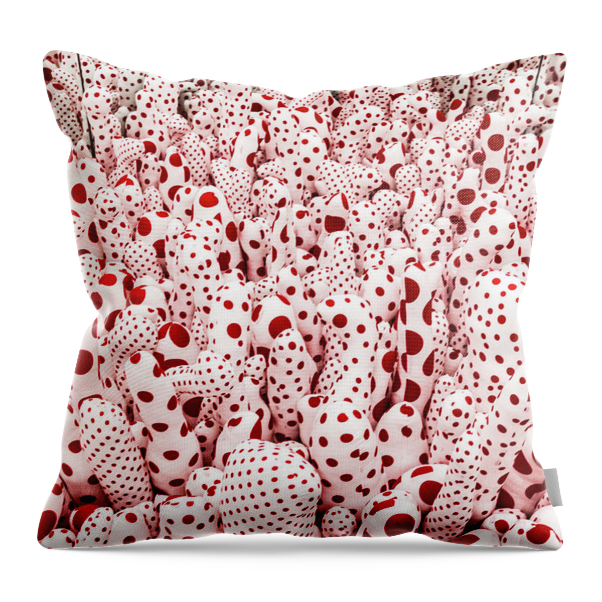 Art Throw Pillow featuring the photograph Red and White by Stewart Helberg