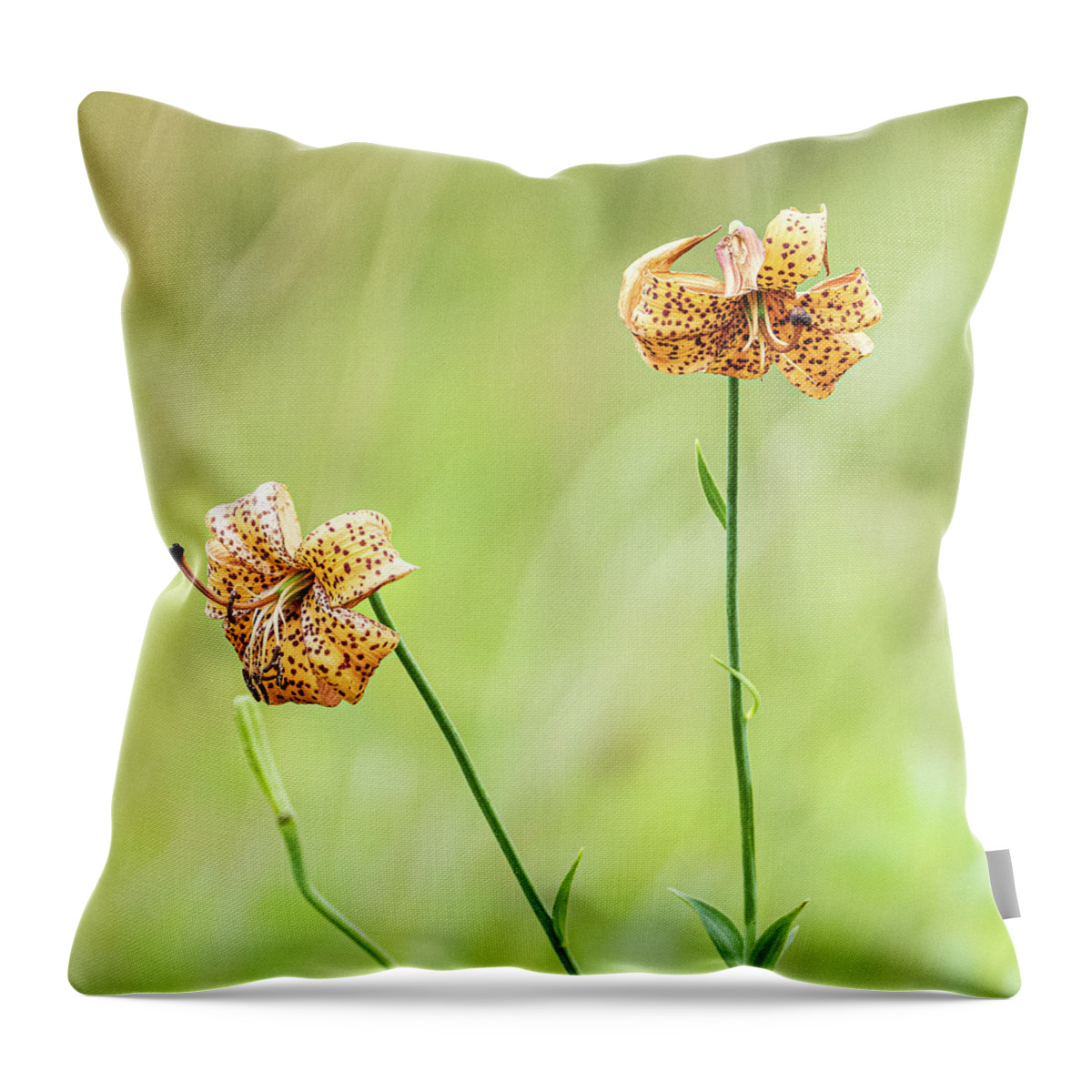 Red Yellow Flowers Shallow Depth Of Field Throw Pillow featuring the photograph Red And Yellow Flowers by David Morehead